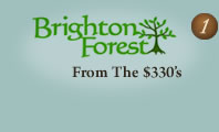 Brighton Forest $375 - 425s