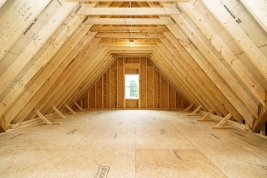thumb_363_035originalwalkinattic.jpg