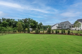 thumb_363_037originalbackyard.jpg